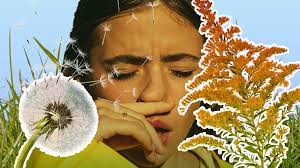 Pollen allergy silicone wristband