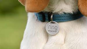 Personalized dog tag customization service: create a unique identity for your pet 0