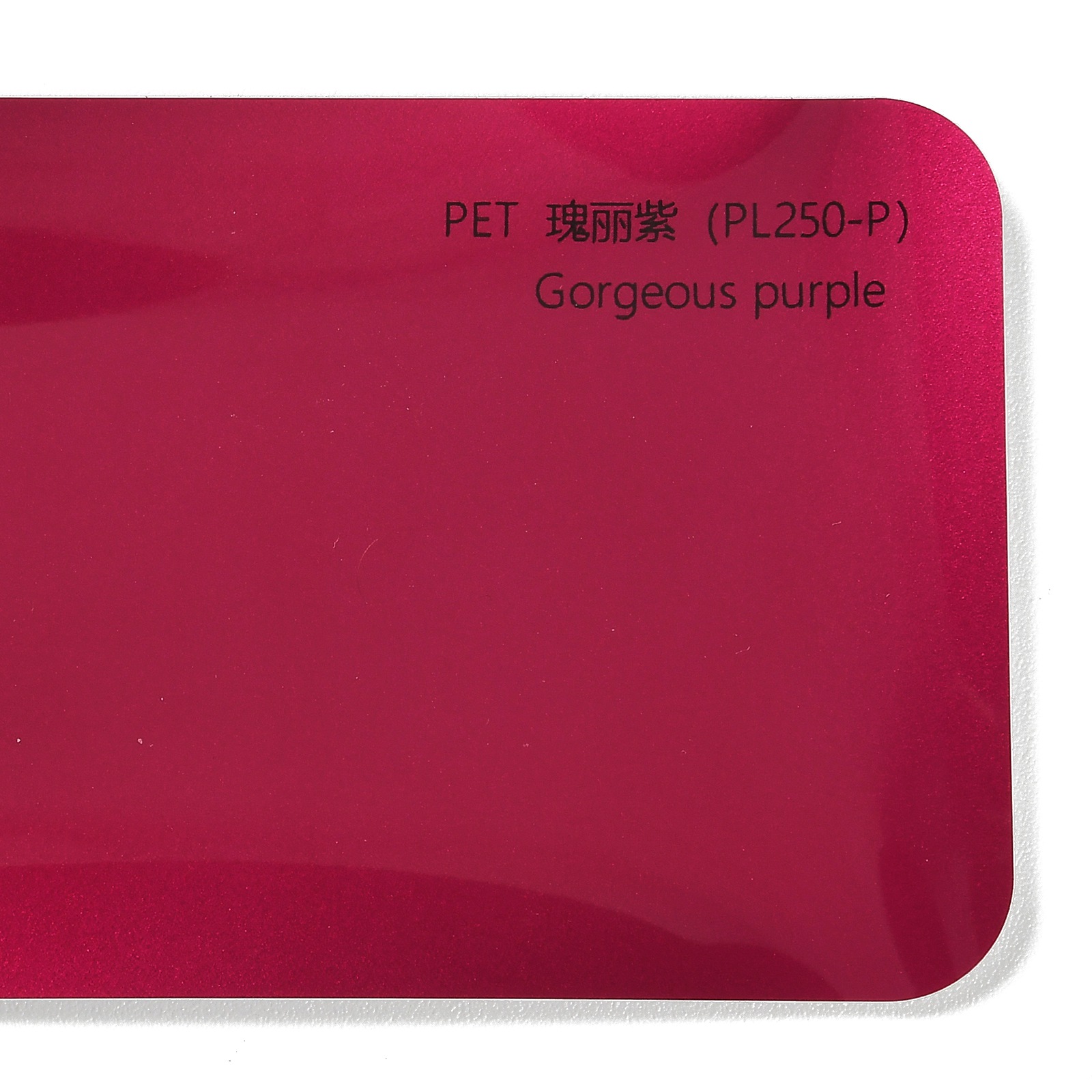 PET Magnificent Purple