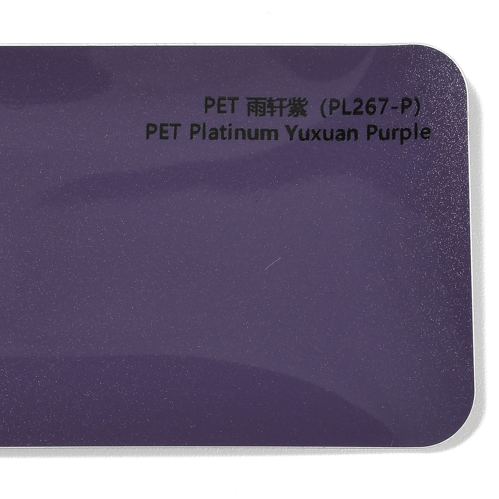 PET Rain Purple