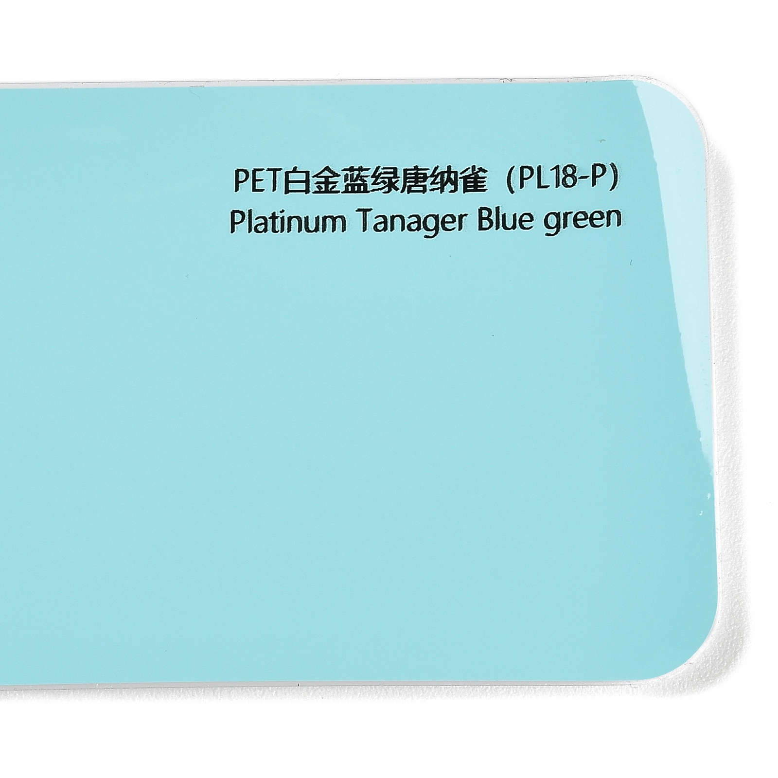 PET Platinum Blue-Green Donna Sparrow