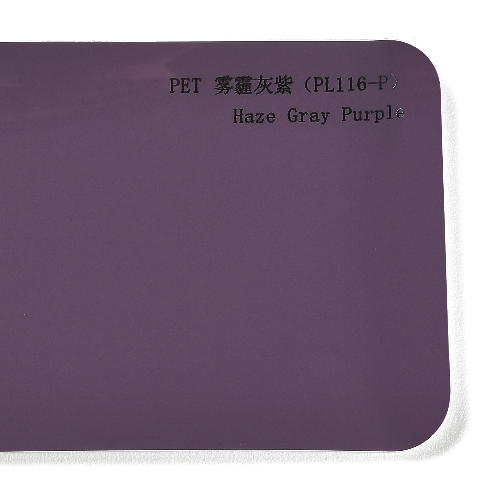 PET Haze Gray Purple