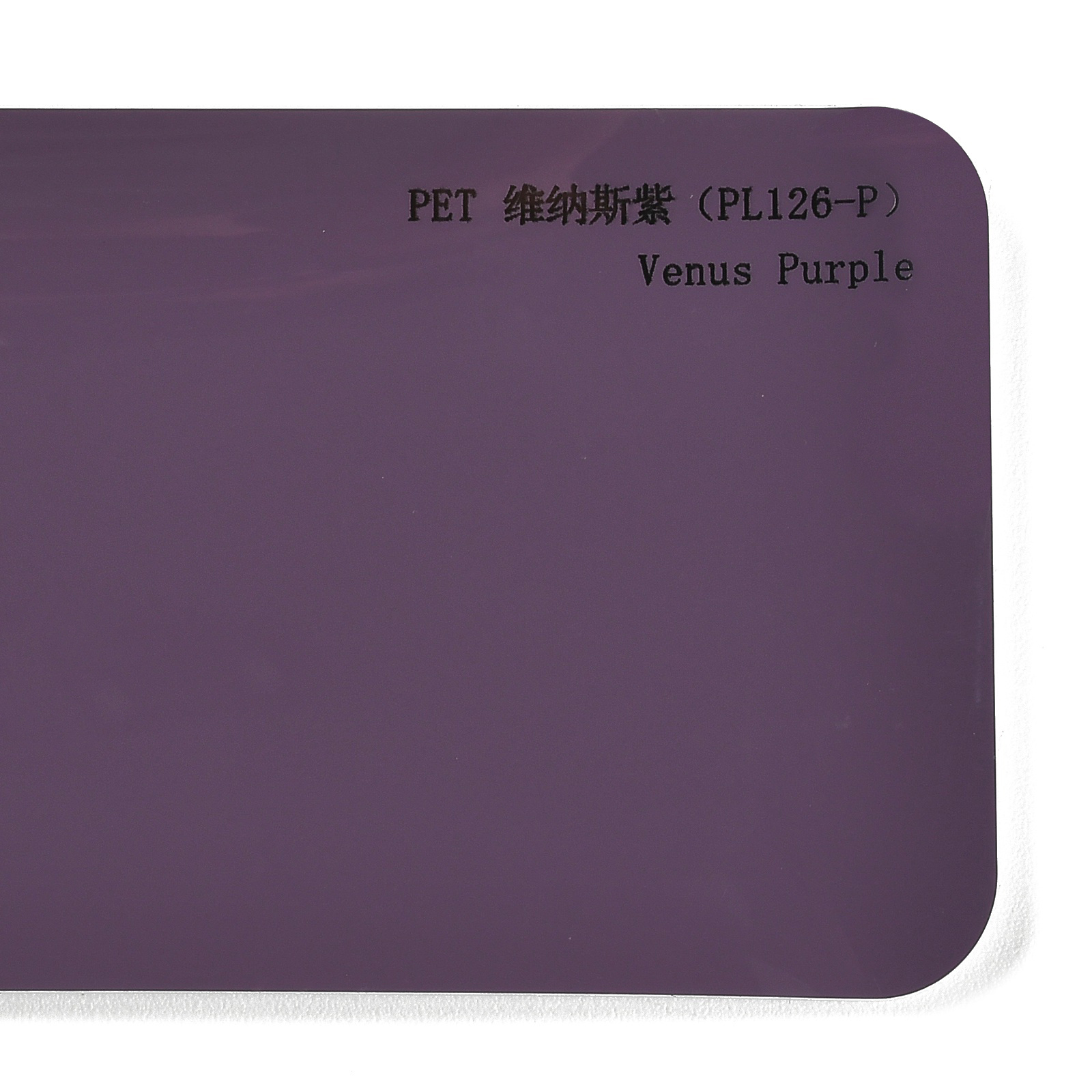 PET Venus Purple