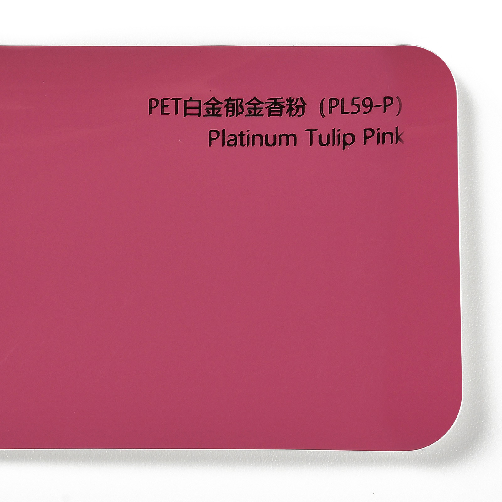 PET Platinum Tulip Pink