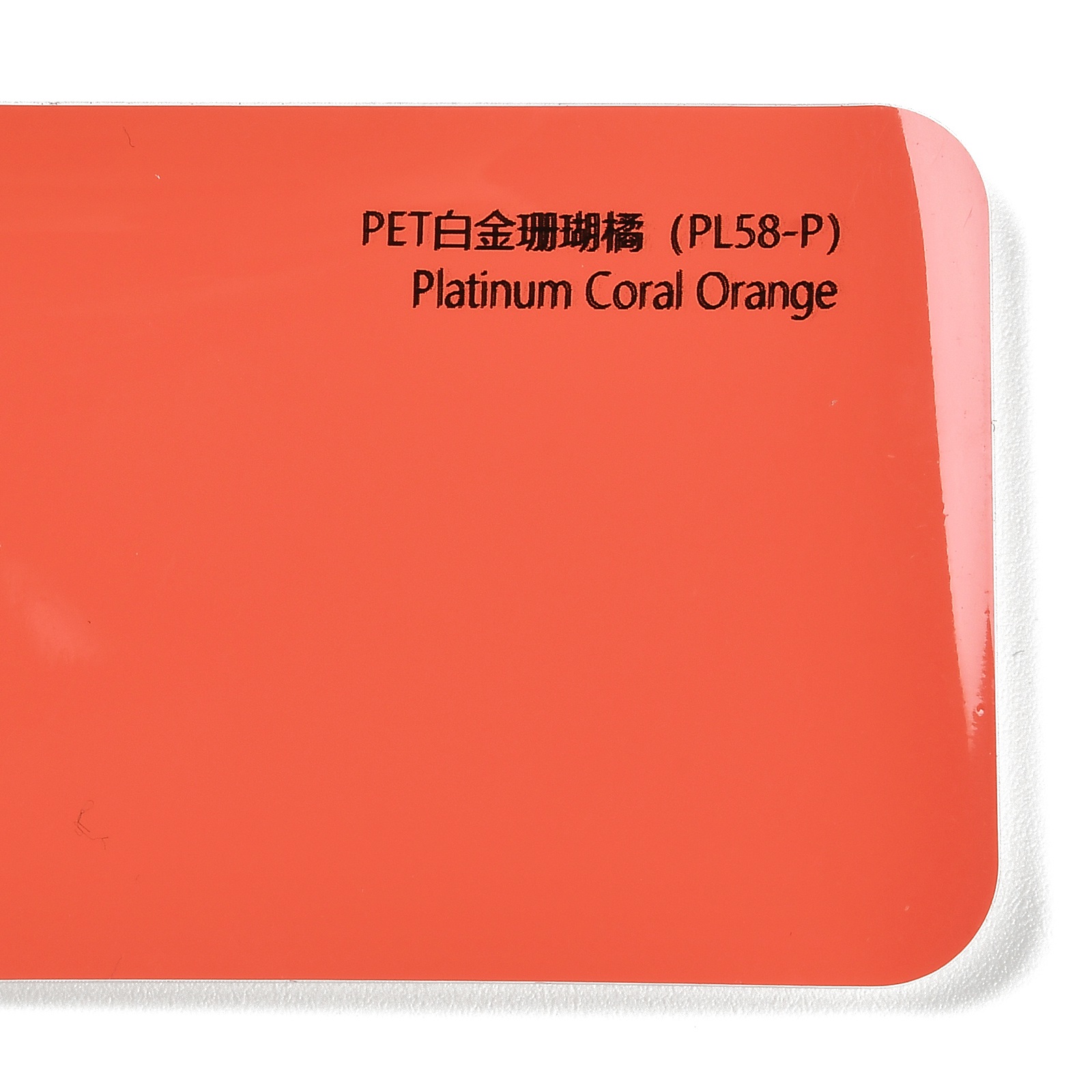 PET Platinum Coral Orange